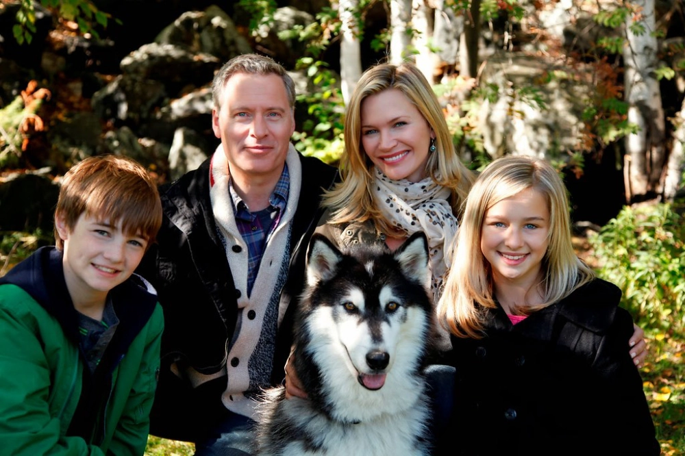 ảnh poster phim Against the Wild