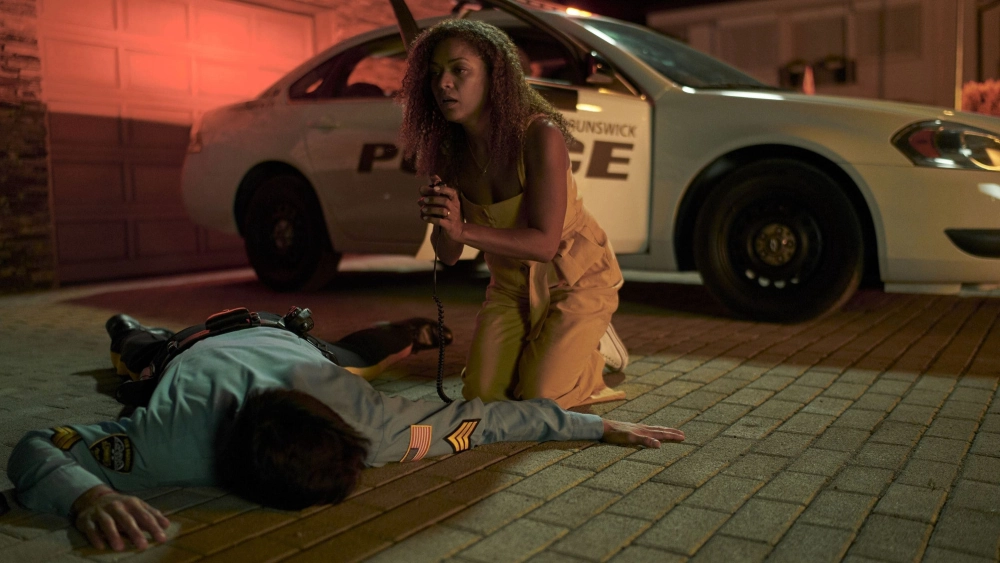 ảnh poster phim Bagman