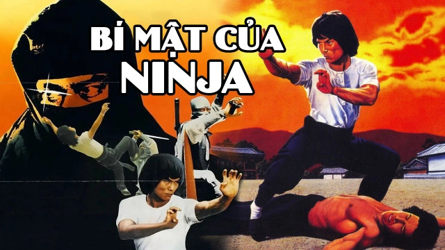 ảnh poster phim Bí Mật Của Ninja (Ninja Knight 2: Roaring Tiger)