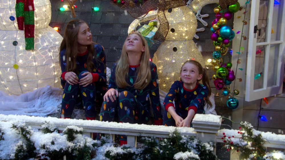 ảnh poster phim Big Show: Đô vật về vườn (Phần 2) (The Big Show Show (Season 2))