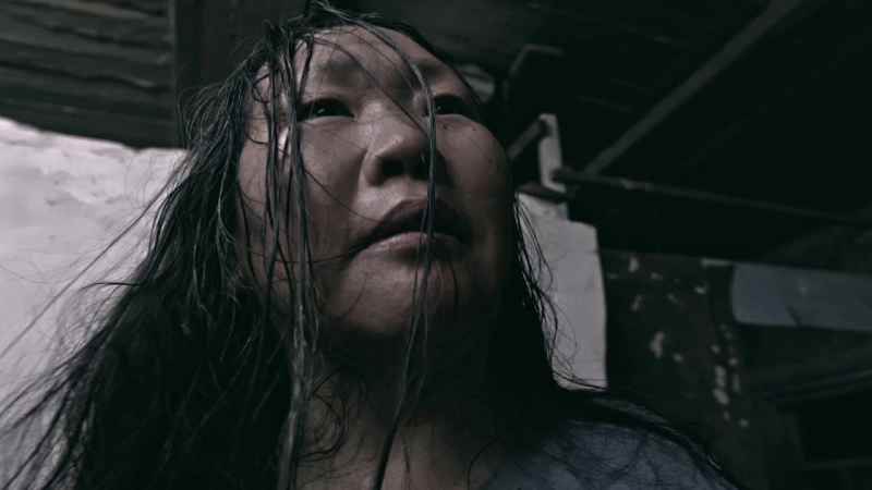 ảnh poster phim Bù Nhìn (Scarecrow)