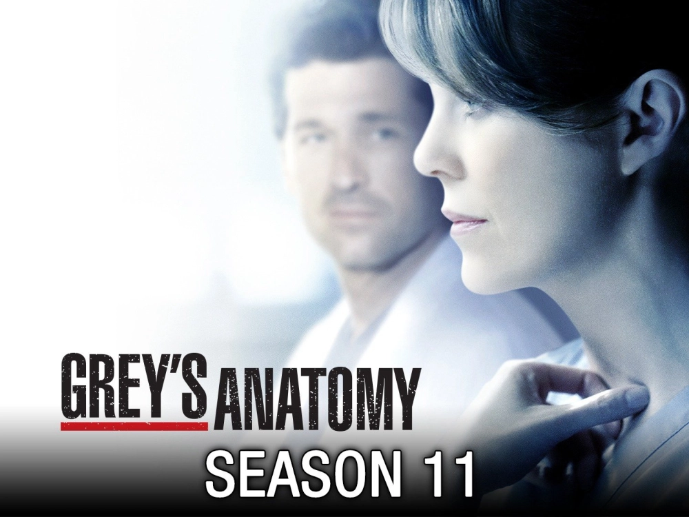 ảnh poster phim Ca Phẫu Thuật Của Grey (Phần 11) (Grey's Anatomy (Season 11))