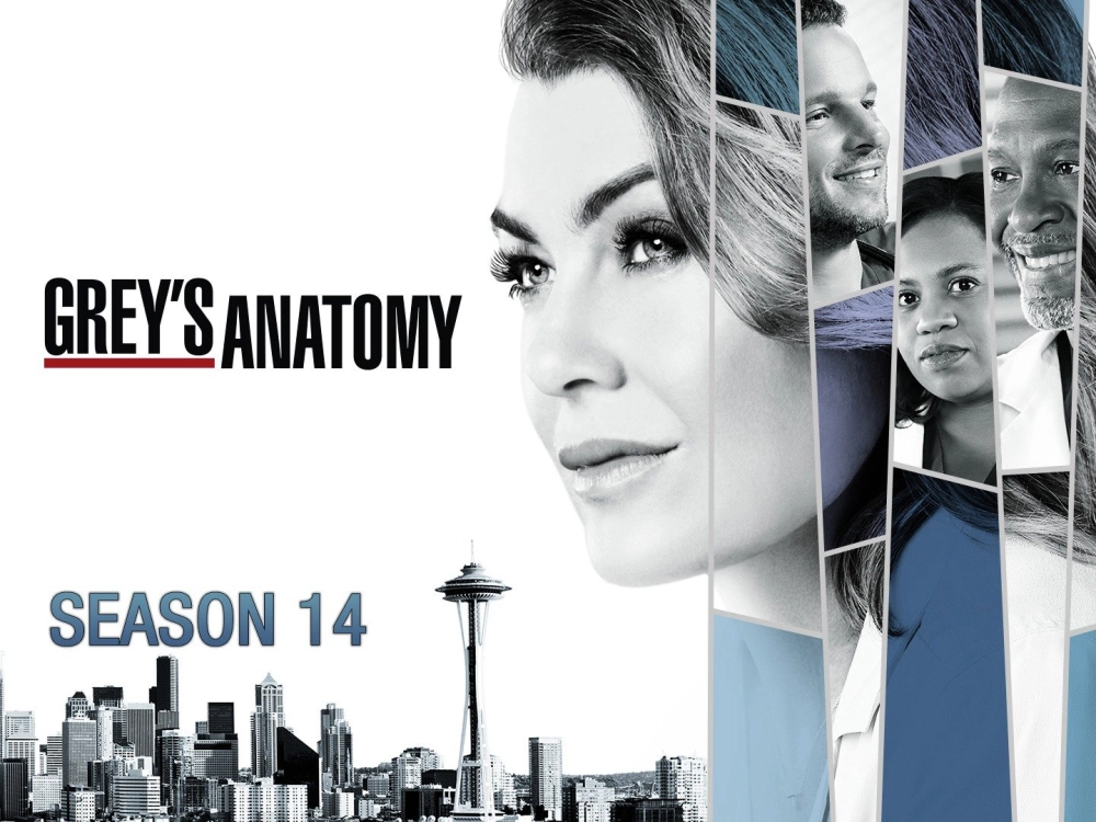 ảnh poster phim Ca Phẫu Thuật Của Grey (Phần 14) (Grey's Anatomy (Season 14))