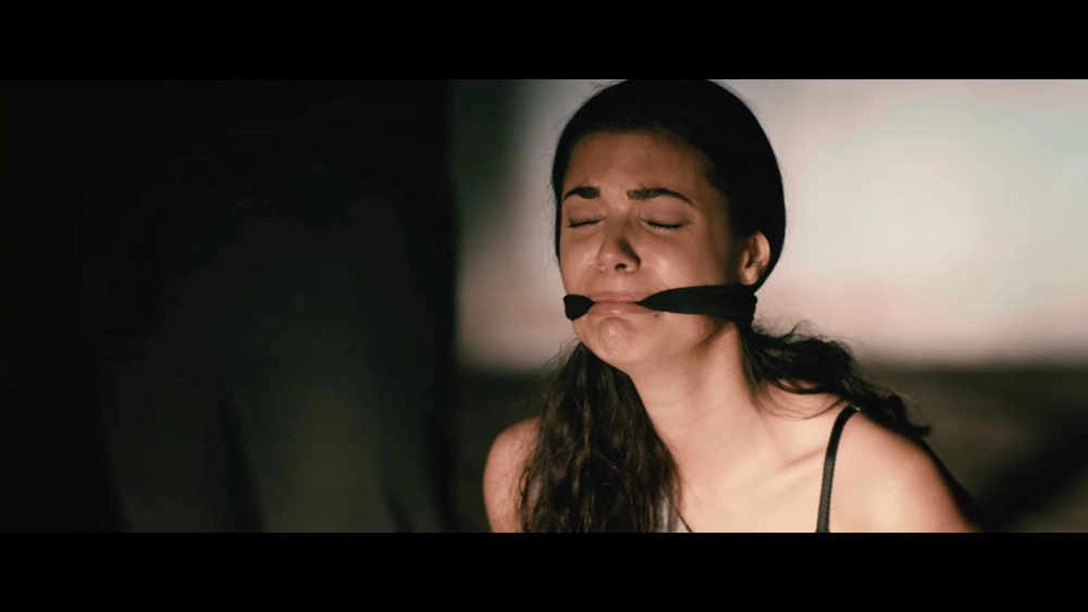 ảnh poster phim Cảnh Sát Trả Thù (Freelancers)