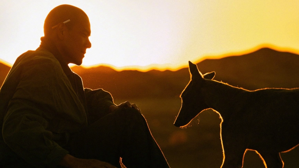 ảnh poster phim Cẩu Trận (Black Dog)