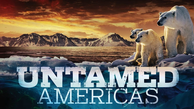 ảnh poster phim Châu Mỹ Hoang Dã (Untamed Americas)
