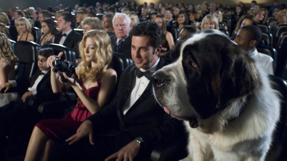 ảnh poster phim Chú chó Beethoven 6: Ngôi sao mới (Beethoven's Big Break)