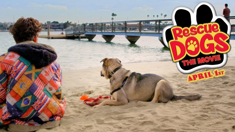 ảnh poster phim Chú Chó Cứu Hộ (Rescue Dogs)