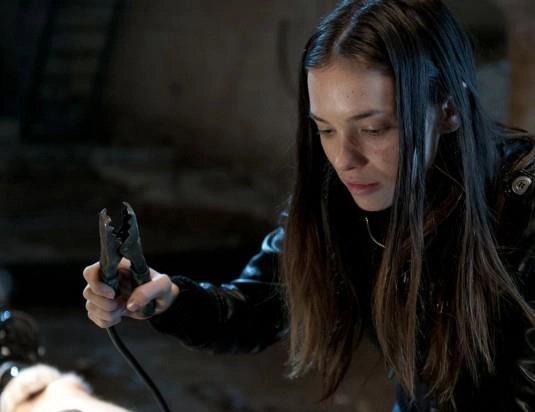 ảnh poster phim Cô Gái Báo Thù 2 (I Spit on Your Grave 2)