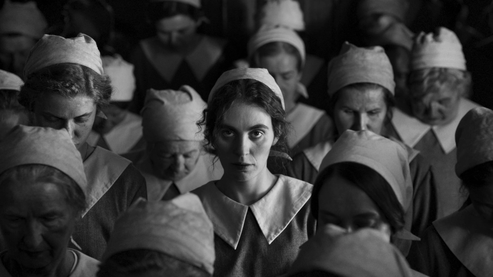 ảnh poster phim Cô Gái và Cây Kim (The Girl with the Needle)