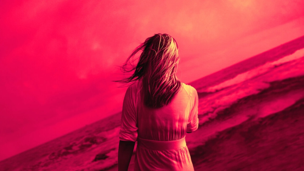 ảnh poster phim Cơn ác mộng Mỹ (American Nightmare)