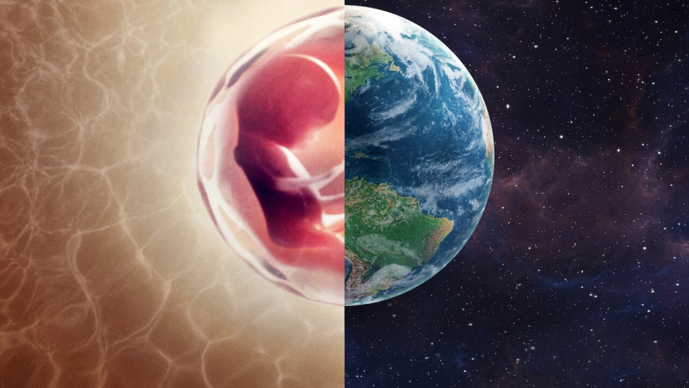 ảnh poster phim Con người: Thế giới bên trong cơ thể (Human: The World Within)