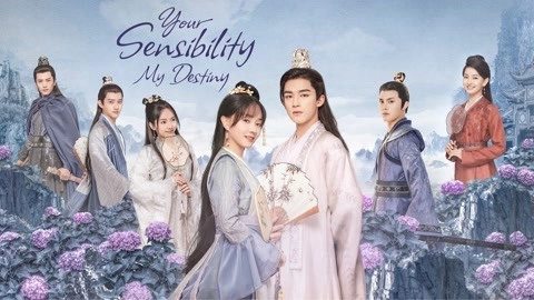 ảnh poster phim Công Tử Khuynh Thành (Your Sensibility My Destiny)