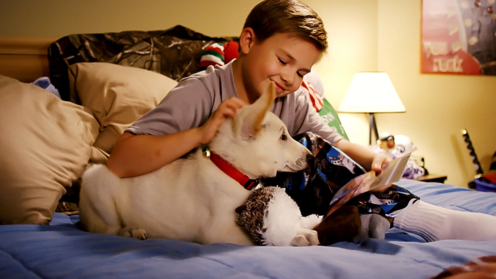 ảnh poster phim Cún Belle và Giáng sinh (A Belle for Christmas)