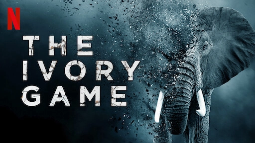 ảnh poster phim Cuộc chiến ngà voi (The Ivory Game)