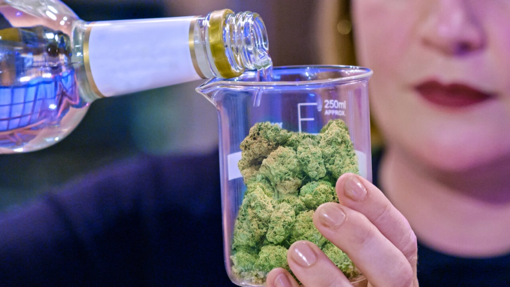 ảnh poster phim Cuộc thi nấu cần (Cooked with Cannabis)