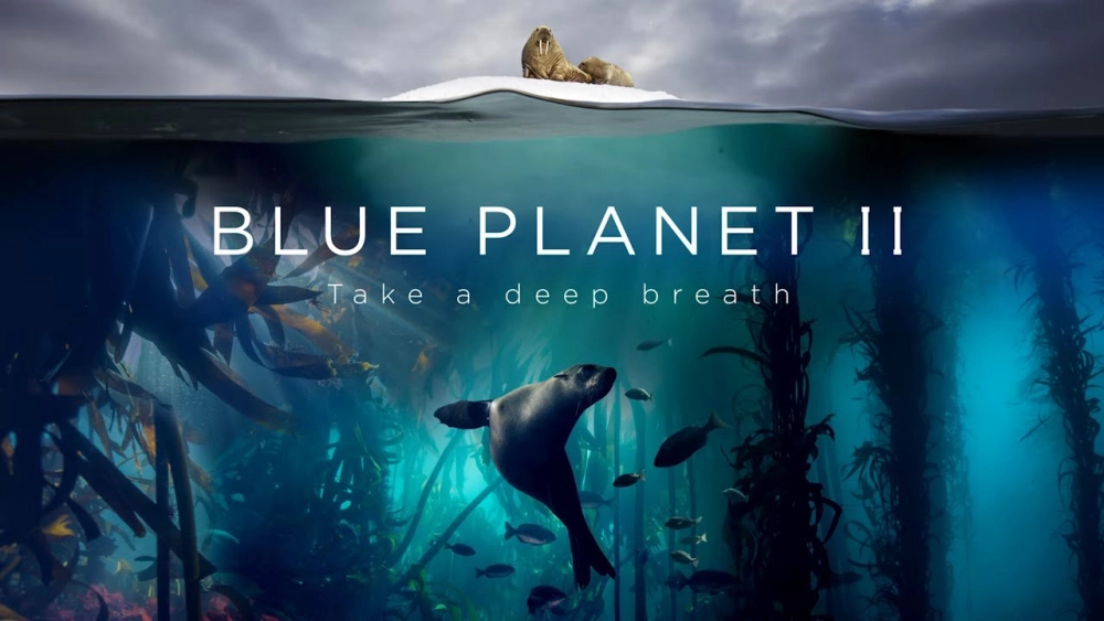 ảnh poster phim Đại Dương Sâu Thẳm 2 (The Blue Planet 2)