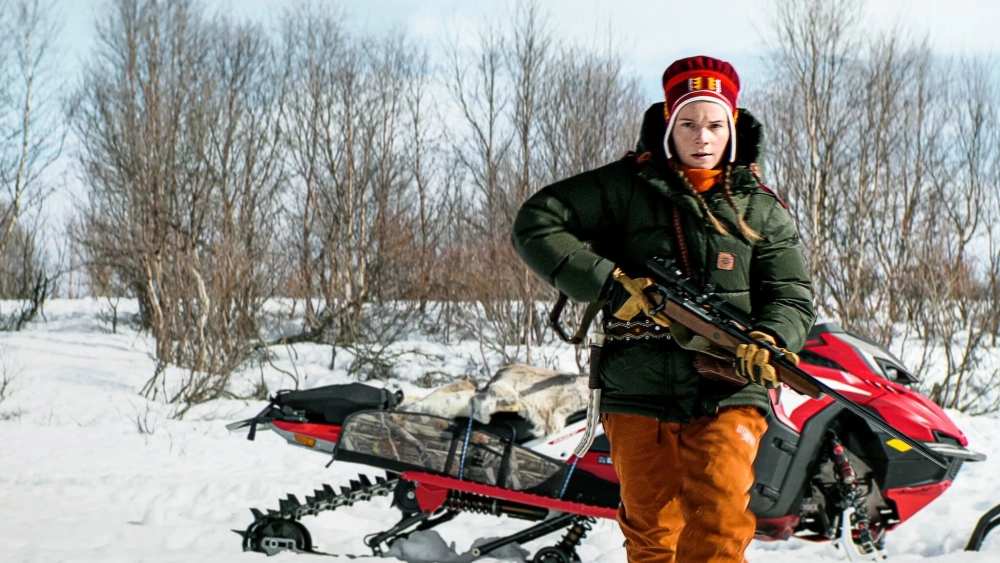 ảnh poster phim Đánh Cắp (Stolen)