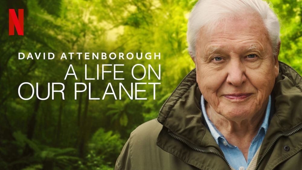 ảnh poster phim David Attenborough: Một cuộc đời trên Trái Đất (David Attenborough: A Life on Our Planet)