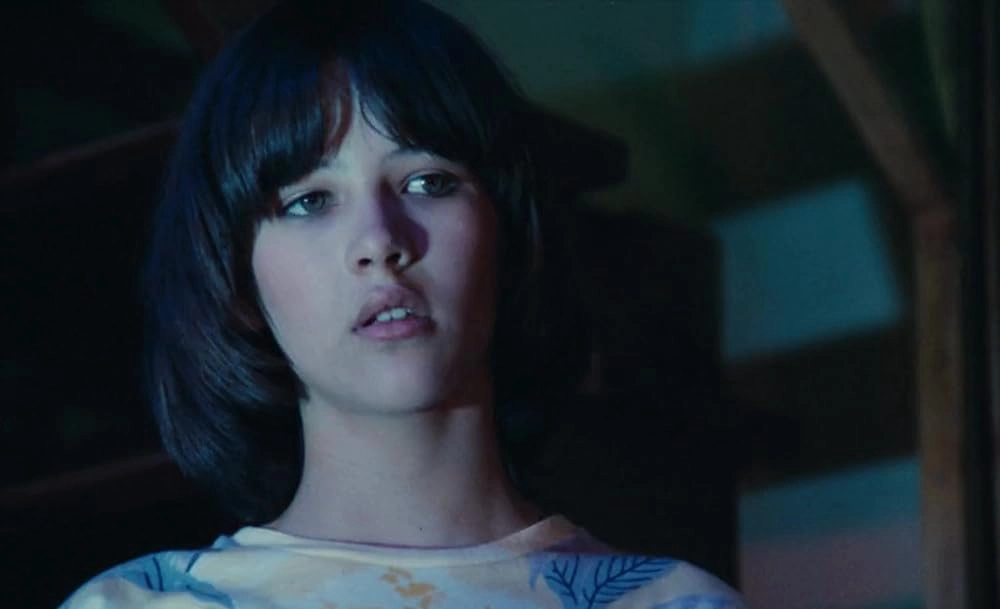 ảnh poster phim Đêm Khiêu Vũ (The Party)