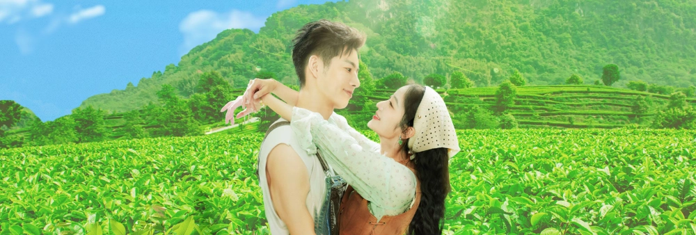 ảnh poster phim Đồi Trà Tình Yêu (Love in the Tea Garden)