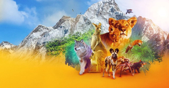 ảnh poster phim Động vật (Phần 1) (Animal (Season 1))