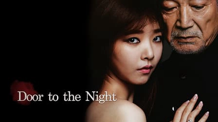 ảnh poster phim Door to the Night