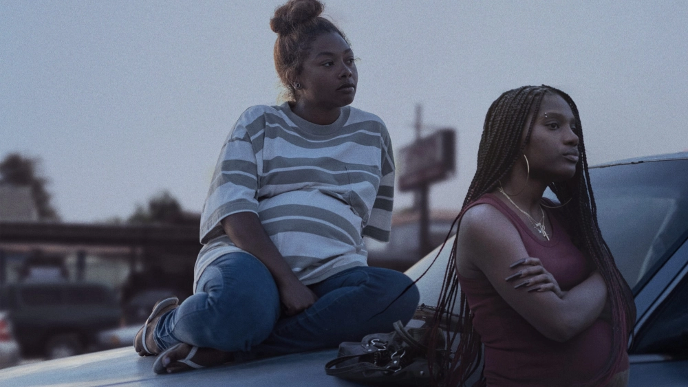 ảnh poster phim Earth Mama