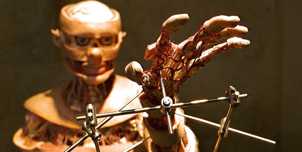 ảnh poster phim Giải phẫu (Anatomy)