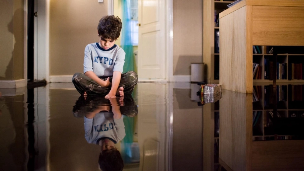 ảnh poster phim Gương quỷ (Mirrors)