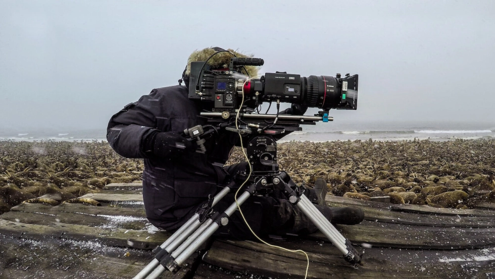 ảnh poster phim Hành tinh của chúng ta - Hậu trường (Our Planet - Behind The Scenes)