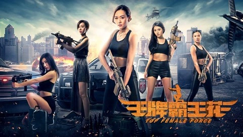 ảnh poster phim Hoa Acemaster (Top Female Force)