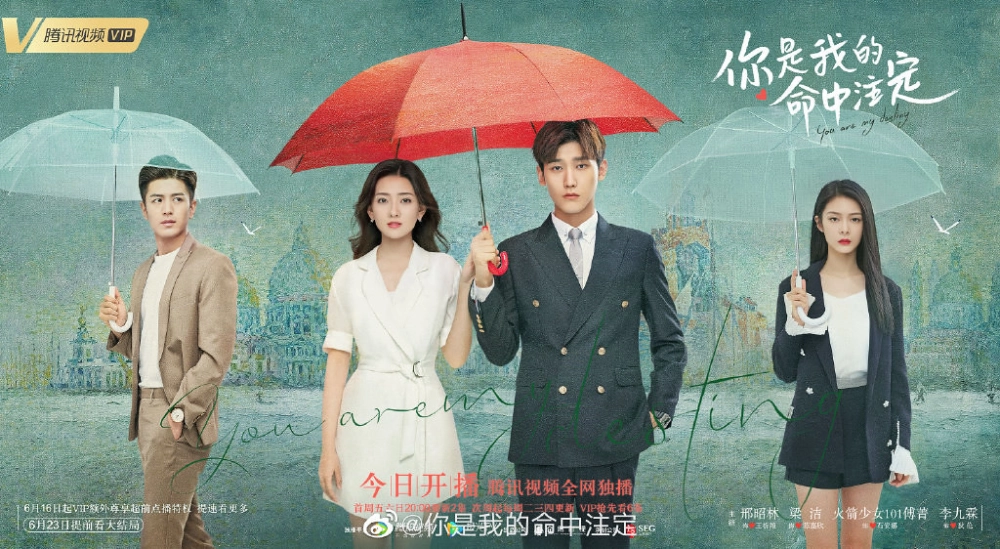 ảnh poster phim Hoá Ra Em Là Định Mệnh Đời Anh (You Are My Destiny)