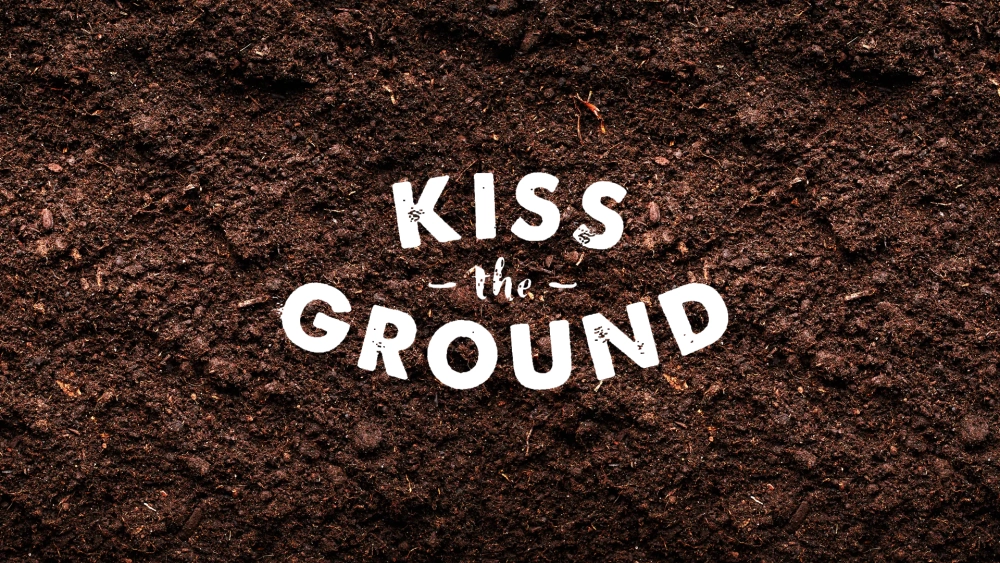ảnh poster phim Hôn lên mạch đất (Kiss the Ground)