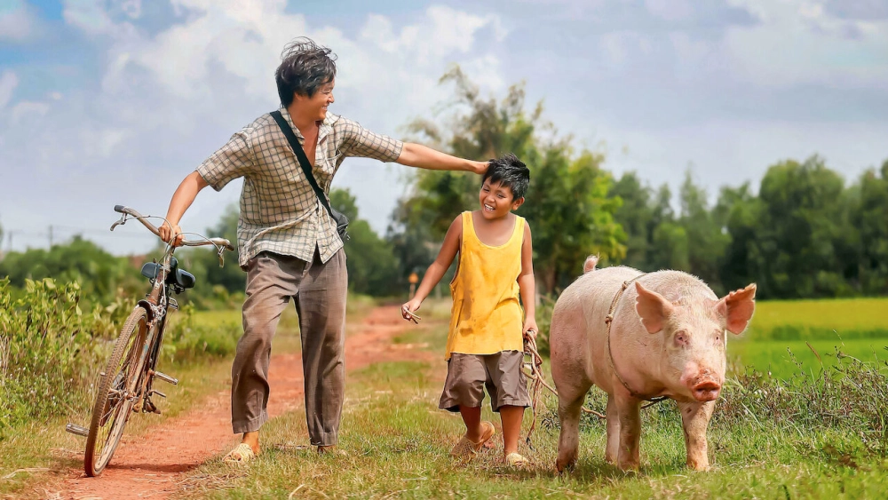 ảnh poster phim Khi con là nhà (My Son Is My Home)