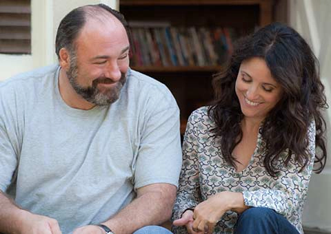 ảnh poster phim Không Nói Thành Lời (Enough Said)