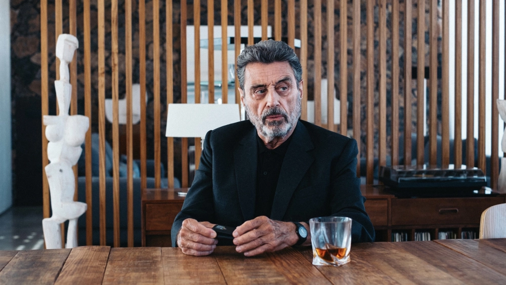 ảnh poster phim Lần Cuối làm Sát Thủ (American Star)