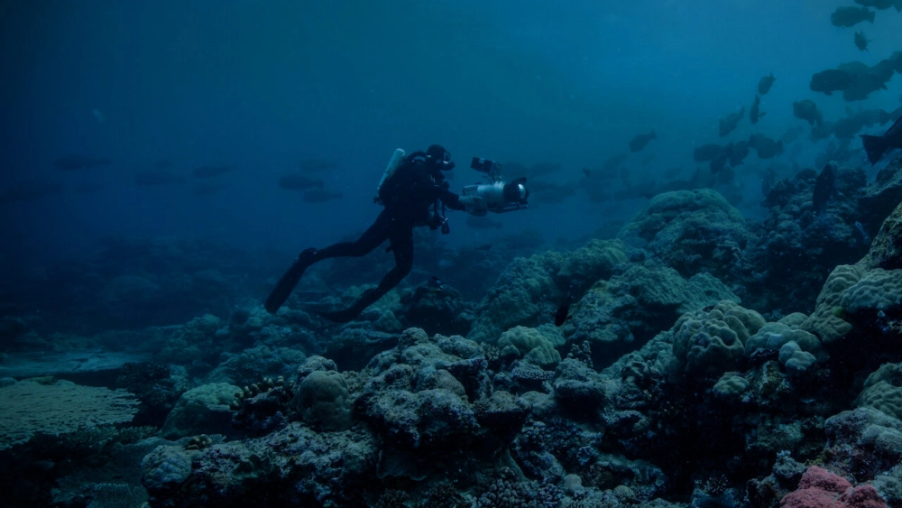 ảnh poster phim Màn đêm trên Trái Đất: Thước phim trong bóng tối (Night on Earth: Shot in the Dark)