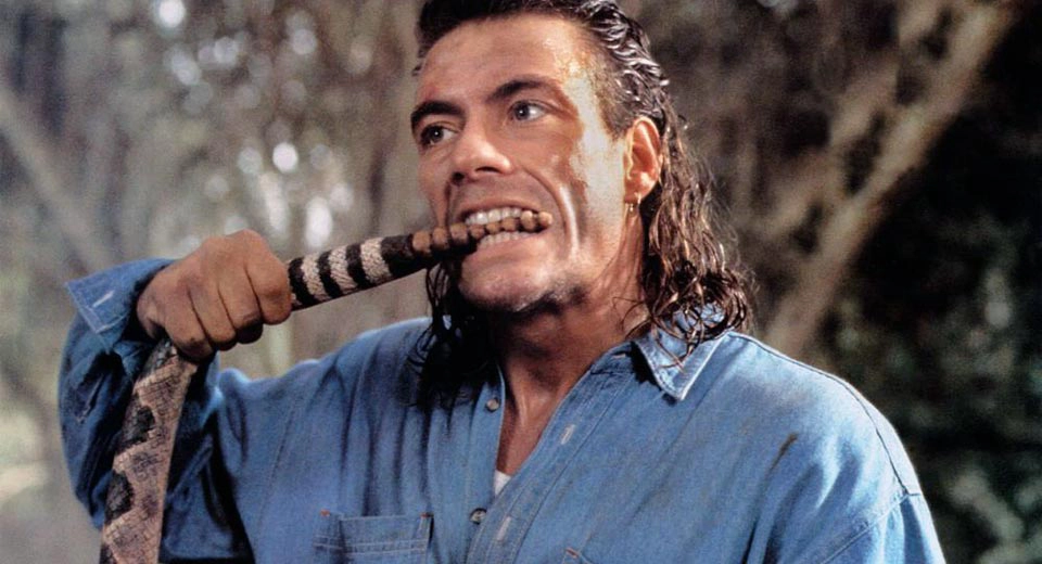 ảnh poster phim Mục tiêu khó diệt (Hard Target)