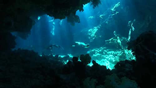 ảnh poster phim Nạn Săn Cá Heo (The Cove)