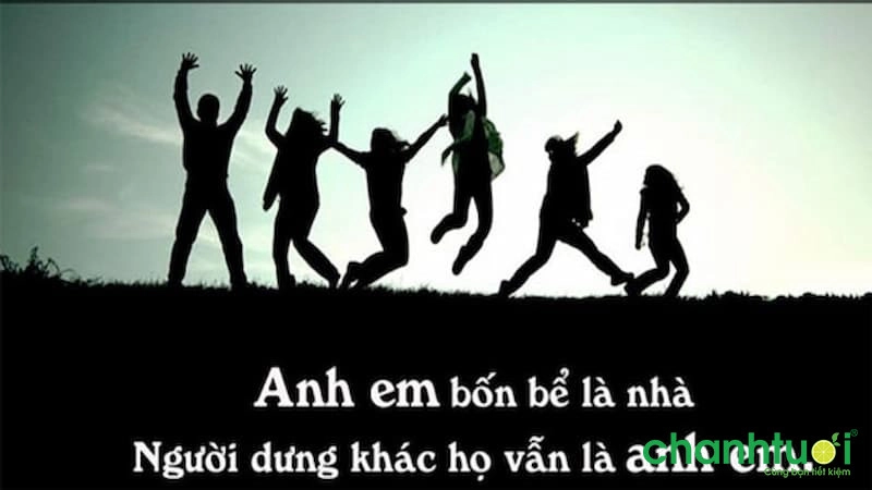 ảnh poster phim Người anh em xa lạ (Stranger Brothers)