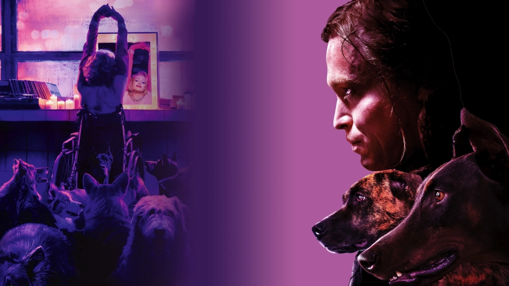 ảnh poster phim Người Bạn Của Chó (Dogman)