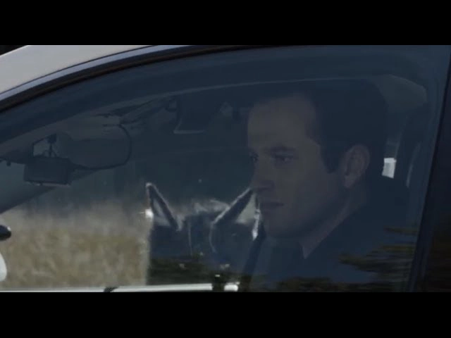 ảnh poster phim Người Chó 2: Sự Nổi Giận Của Đàn Con (Dogman 2)