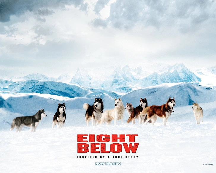 ảnh poster phim Những Chú Chó Dũng Cảm (Eight Below)