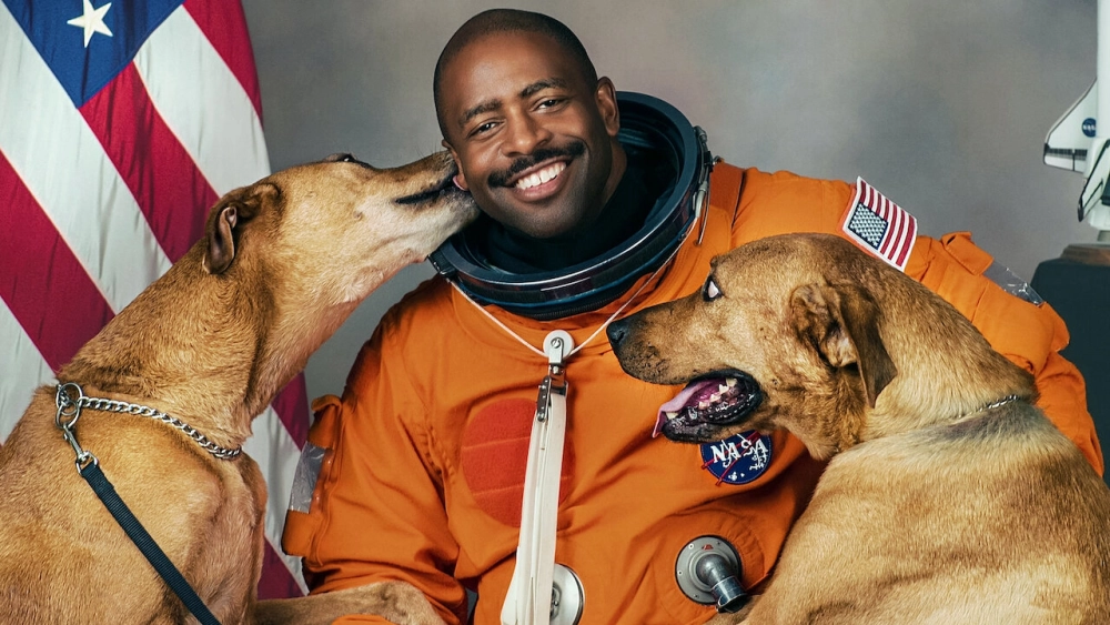 ảnh poster phim Những chú chó (Phần 2) (Dogs (Season 2) )