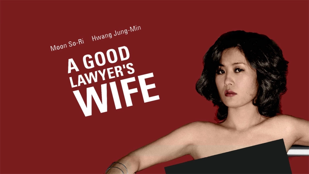 ảnh poster phim Những đam mê của cô vợ luật sư (A Good Lawyer's Wife)