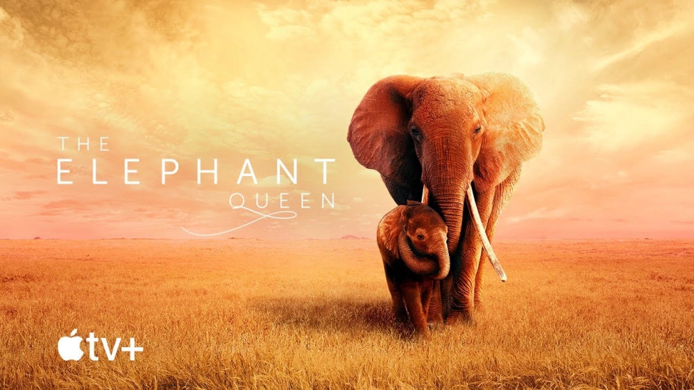 ảnh poster phim Nữ Hoàng Voi (The Elephant Queen)
