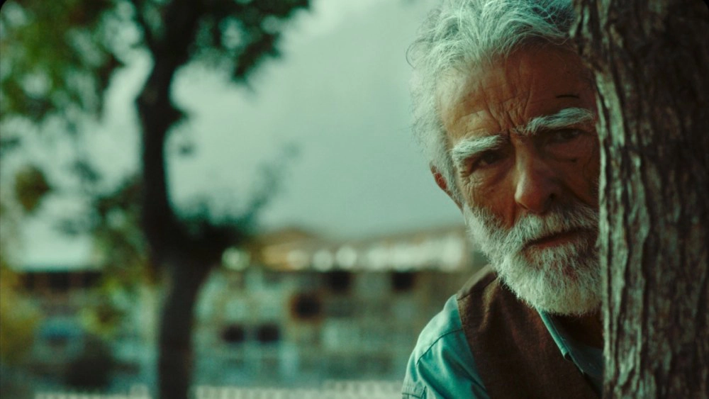 ảnh poster phim Oblivion Verses