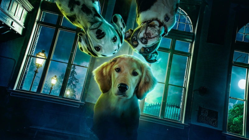 ảnh poster phim Phantom Pups (Phần 1) (Phantom Pups (Season 1))