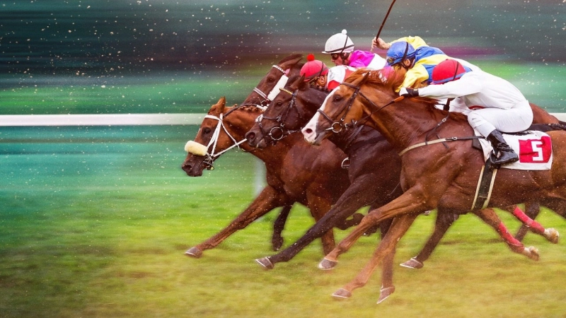 ảnh poster phim Phi Nước Kiệu Đến Ngôi Vương (Race for the Crown)